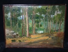 ANTICO QUADRO DIPINTO SOFIA DE MURALT OLIO ISCHIA PINETA