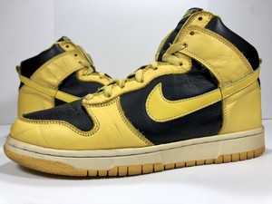 nike dunks b iowa