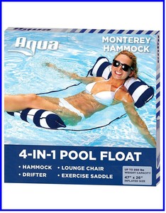 4 in 1 pool float