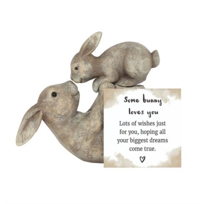 HARZHASE MAMA & BABY PERFEKT WEIHNACHTSGESCHENK ''''Some Bunny liebt dich'''' FO_29738