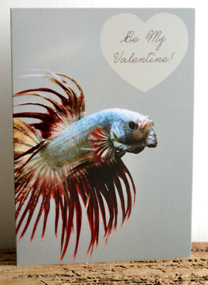 Crown Tail CT Betta siamesischer Kampffisch Valentinstag Grußkarte