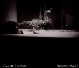 CD helado negro Canta Lechuza SLIPCASE Asthmatic Kitty Records