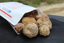 Kentucky Geodes – 1 lb Raw Quartz Crystal Rocks – Whole Unopened Lot Starter Pak