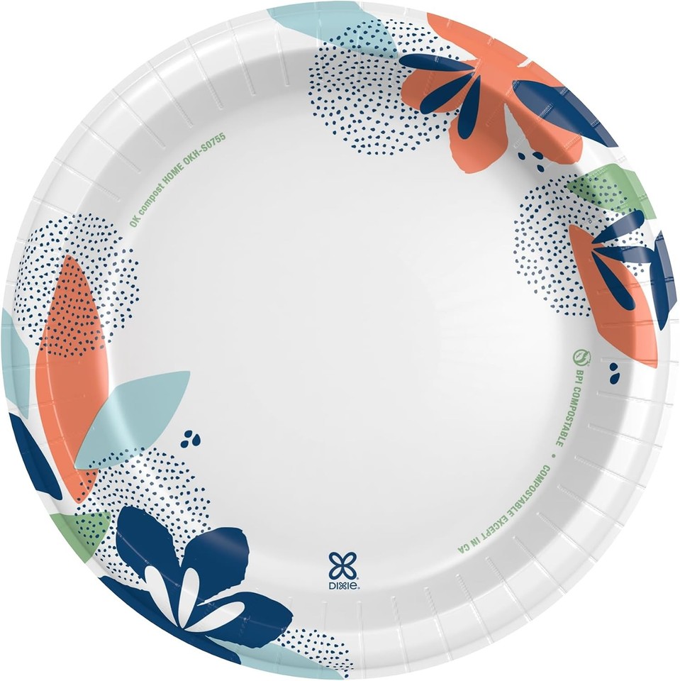 Dixie large paper plates 10 inch 204 count 2x 204 count pack of 1