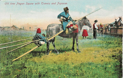 An ''Old Time Piegan Squaw On a Travois w/ Papoose'' Canada  Picture Postcard -565