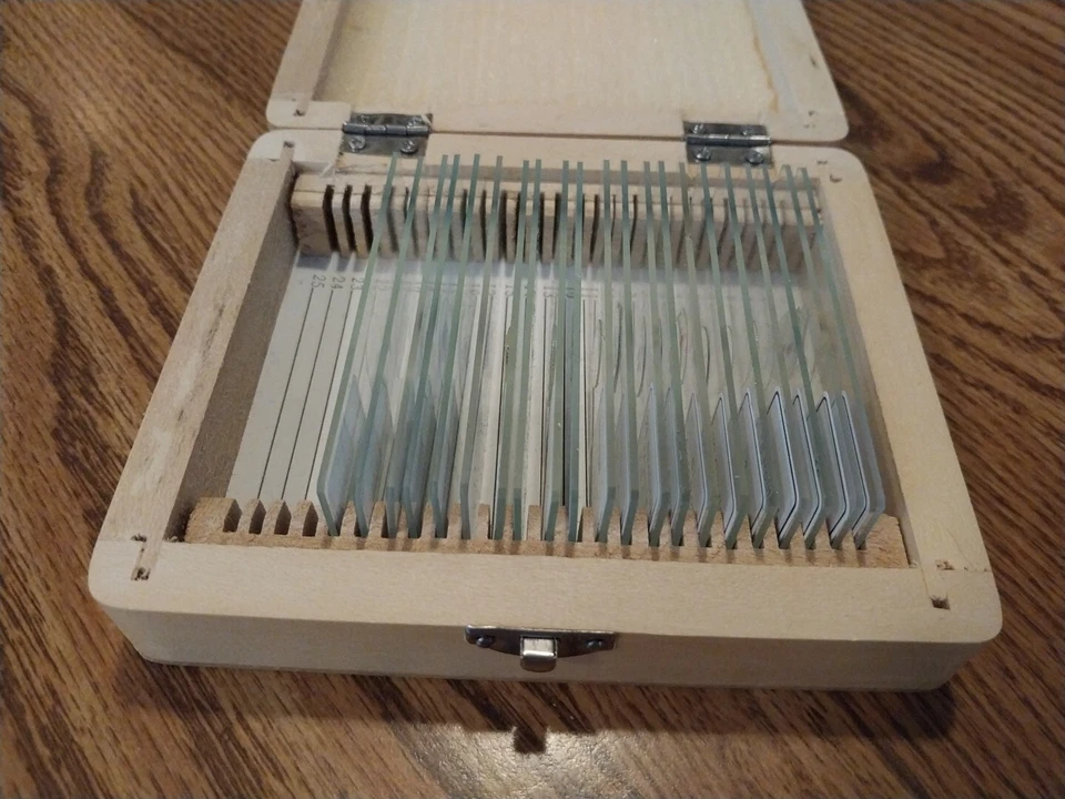 25 Prepared Microscope Slides w Guide and Wood Case Celestron 44410 Missing 4 - Image 4 of 4
