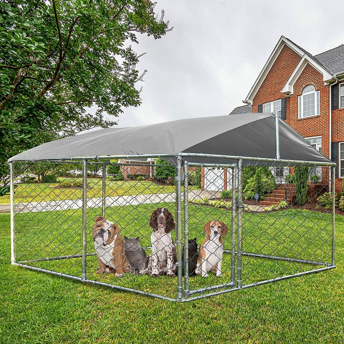 outdoor-dog-kennel-ideas