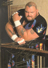 1994 Action Packed WWF #1-42 Wrestling Cards*Complete You Set*High Grade*WWE