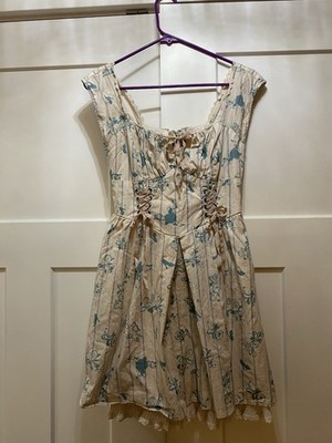 Disney Hot Topic Cinderella Fit & Flare Dress Lace-Up Small Blue Beige Floral