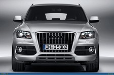 Calandre Audi Q5