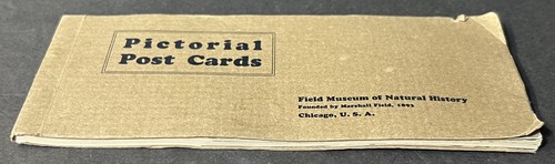 Pictorial Post Cards Field Museum of Natural History Booklet (Early 1900s) - Picture 13 of 19