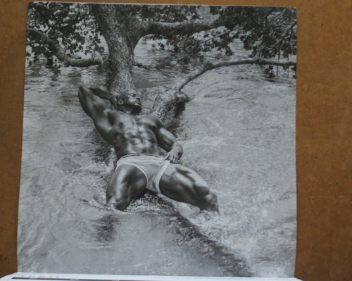 CALENDARIO DE INTERÉS GAY DESNUDO MASCULINO BELLAS ARTES + DVD detrás de escena strippers masculinos negros - Imagen 8 de 10