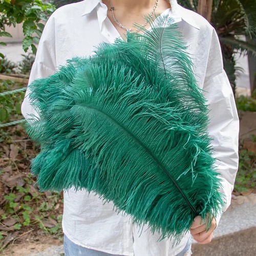 10 piezas plumas de avestruz de colores plumas naturales Top Amazing decoración plumas - Imagen 23 de 32