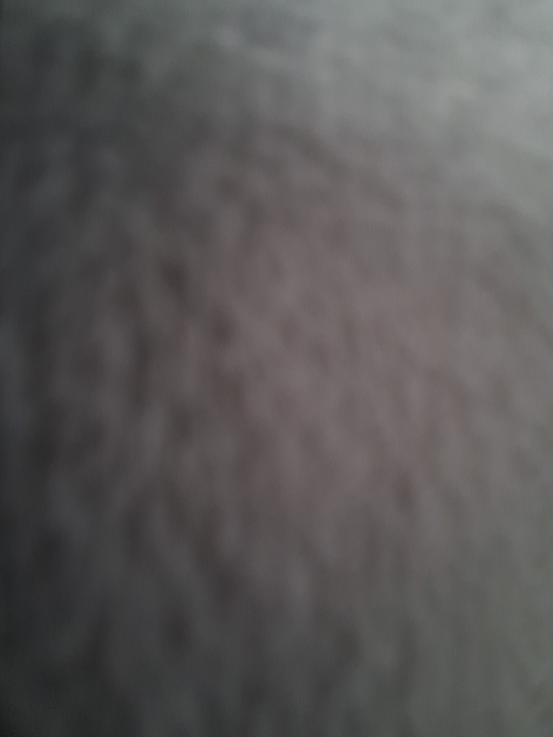 Picture 3 of 8