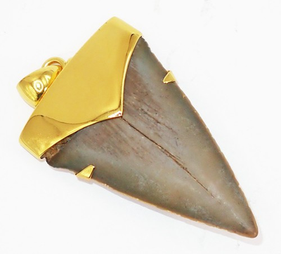 #ad Fossil Shark Tooth Pendant – Megalodon Tooth with 24 K Gold Over Sterling Silver $135.00