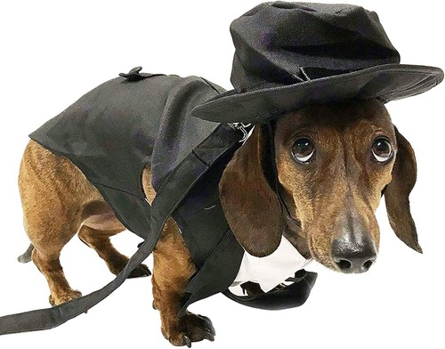 Midlee Hund Smoking Hochzeitsanzug - schwarzer Zylinderhut & Leine - Bild 5 von 8