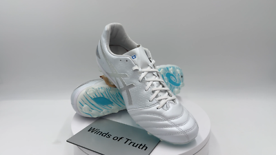 y*︎様 ASICS DS LIGHT AG L.E. ホワイト/シルバー　27 ASICS Soccer Shoes DS LIGHT PRO AG White Silver 1103A096 US6(24.5