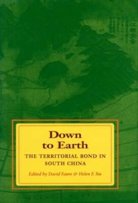 Down to Earth: The Territorial Bond in South China by David Faure: New