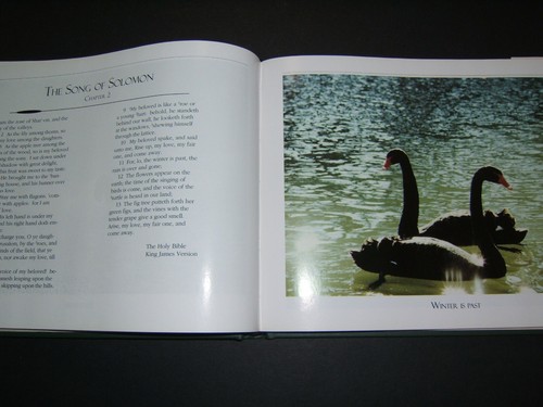 THE SEASON OF THE SWANS written and signed by F. Gordon Foster, M.D. - Imagen 4 de 5
