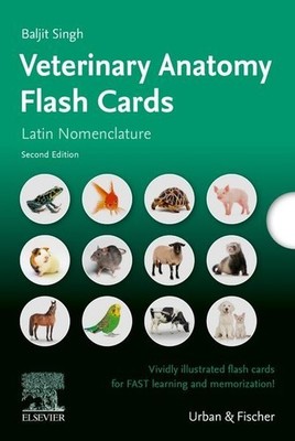 Lernkarten Veterinäranatomie / Veterinary Anatomy Flash Cards nach Nomina Anatom