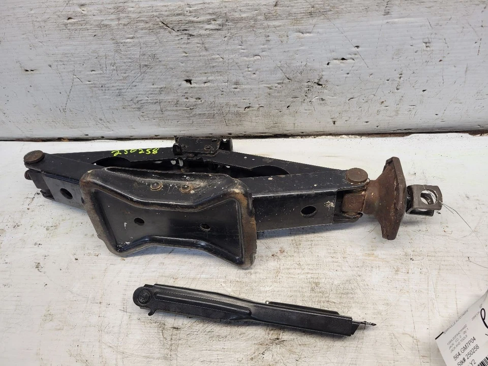 Gato y mango ION 2004 1622248 Foto 3 de 4