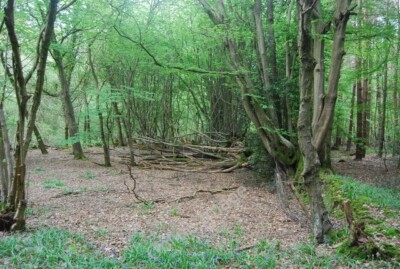 Foto 6x4 Abbauzaun, Rotherfield Holzbefiederung Common c2010
