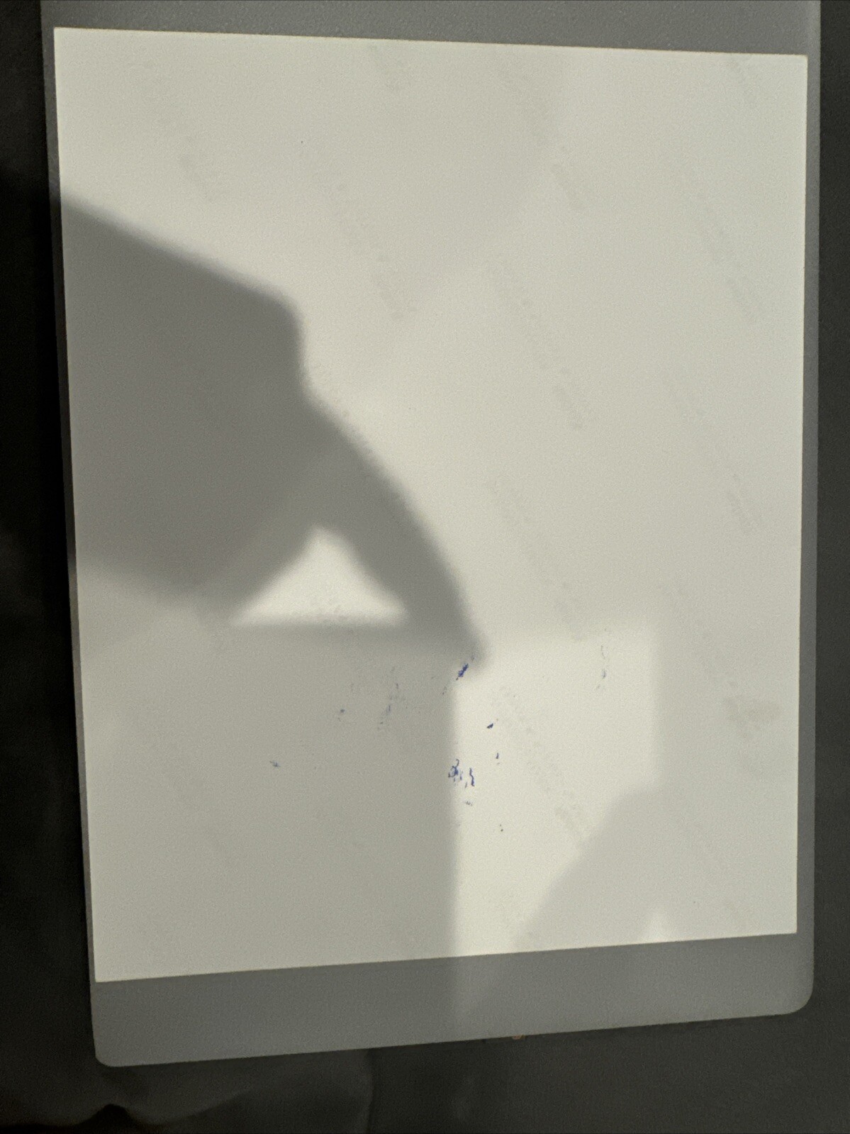 Bild 9 von 12