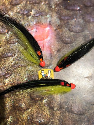 3 V Fly 1 1/4 Inch Aaroy Black & Yellow Conehead Salmon Tube Flies & Trebles