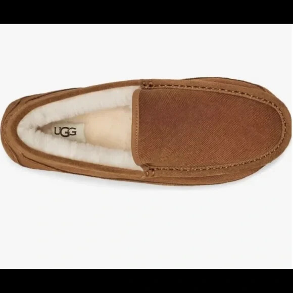 UGG Men display picture 1