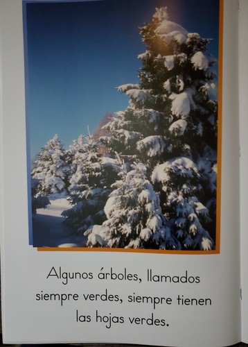 Big Books. Pre-Writing Program. Spanish Edition. Early Childhood Curriculum Set - Picture 4 of 12