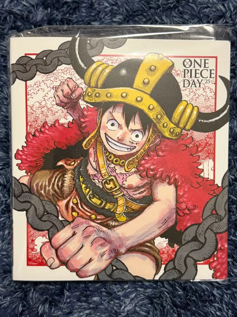 ONE PIECE DAY '25 ONE PIECE Card Game 2025 Limited Goods Card File