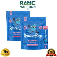 Waterboy Weekend Recovery Electrolyte Powder – 12 Stick 2 Packs (Strawberry L)