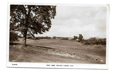 Golf Links, Welwyn Garden City, Hertfordshire, RP Postkarte.