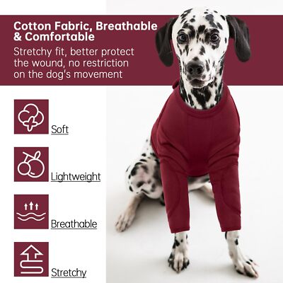 LOLIPPYY Hundebeinsocken - Elastische Schutzsocken Für Kleine Hunde Mit Zebra-Muster