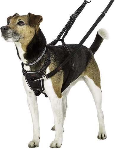 do dog harness stop pulling