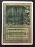 MTG Revised Edition Bayou NM NO RESERVE AUCTION! MAGIC