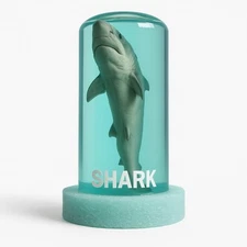 Real Shark in a Glass Bottle Jar Specimen Taxidermy Table Sculpture Souvenir