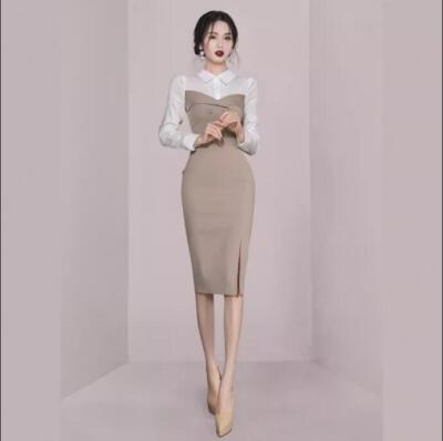 Women's Fashion Two Tone Shirt Collar Long Sleeve Hip Package Pencil Dress 