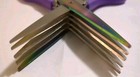 Stainless Steal Shredder Scissor Professional Sharp Herb Kitchen Tool 5 Blade — photo 6