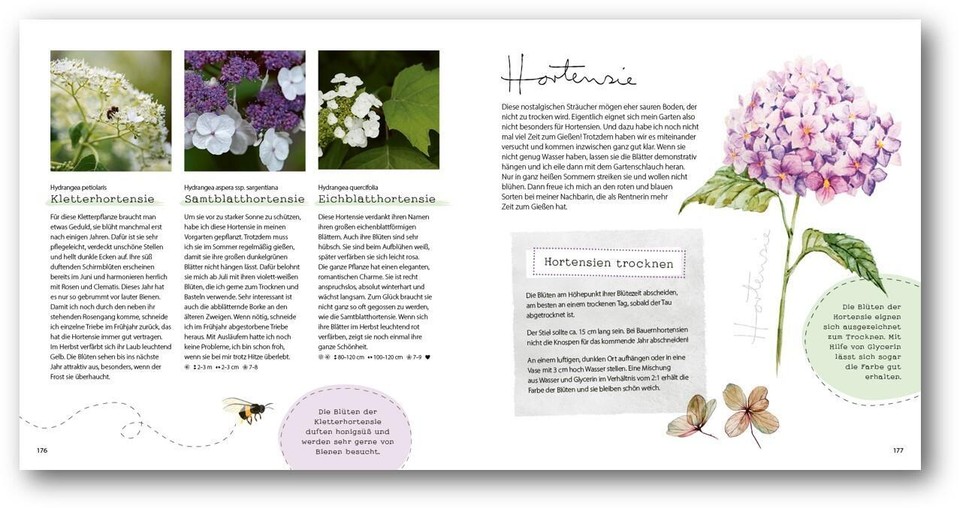 GartenGlück Hanni Plato 9783957349873 eBay