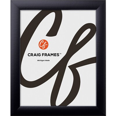 Craig Frames 1'' Wide Modern Satin Black Picture Frames, Uncommon Sizes 4x9-17x33