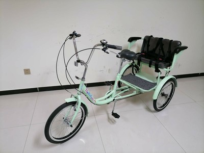 tricycle with child seat