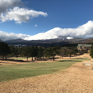 希少 KINOKO SOLAR FIGURE dot design mouse2 Jinko Solar Double Glass Module Tiger PRO 78hc-Bdv 605W 610W