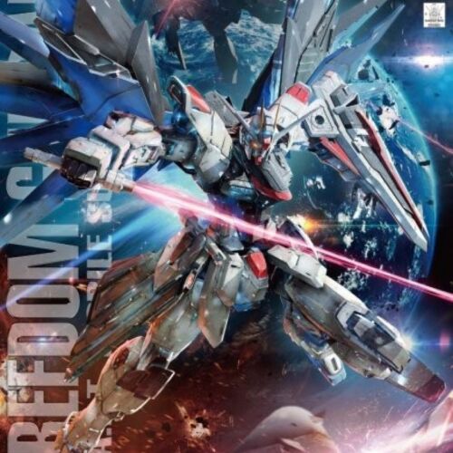MG Mobile Suit Gundam SEED Freedom Gundam Ver.2.0 scala 1/100 modello in plastica F/S - Foto 2 di 12