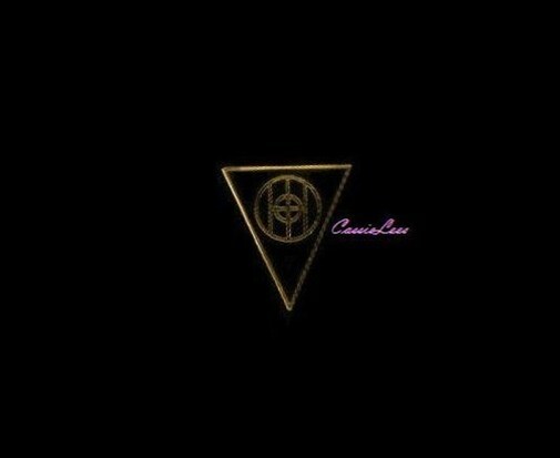 USA 83rd Inf. Div. + a custom promo pin