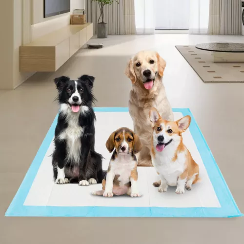 100x Welpenunterlagen Tierpflege Hunde WC Toilette Welpen Unterlage Puppy Pads - Bild 10 von 11
