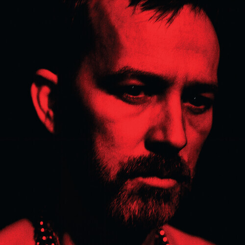 Duquette Johnston The Social Animals [Used Very Good Vinyl LP