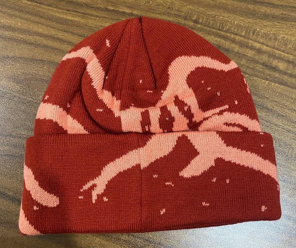 Arc'teryx Bird Head Toque Beanie Hat Red Wool Winter Ski Hat Unisex Gift NWT thumbnail 2
