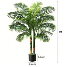 NOVAROOT 6FT Double Trunk Golden Cane Artific...