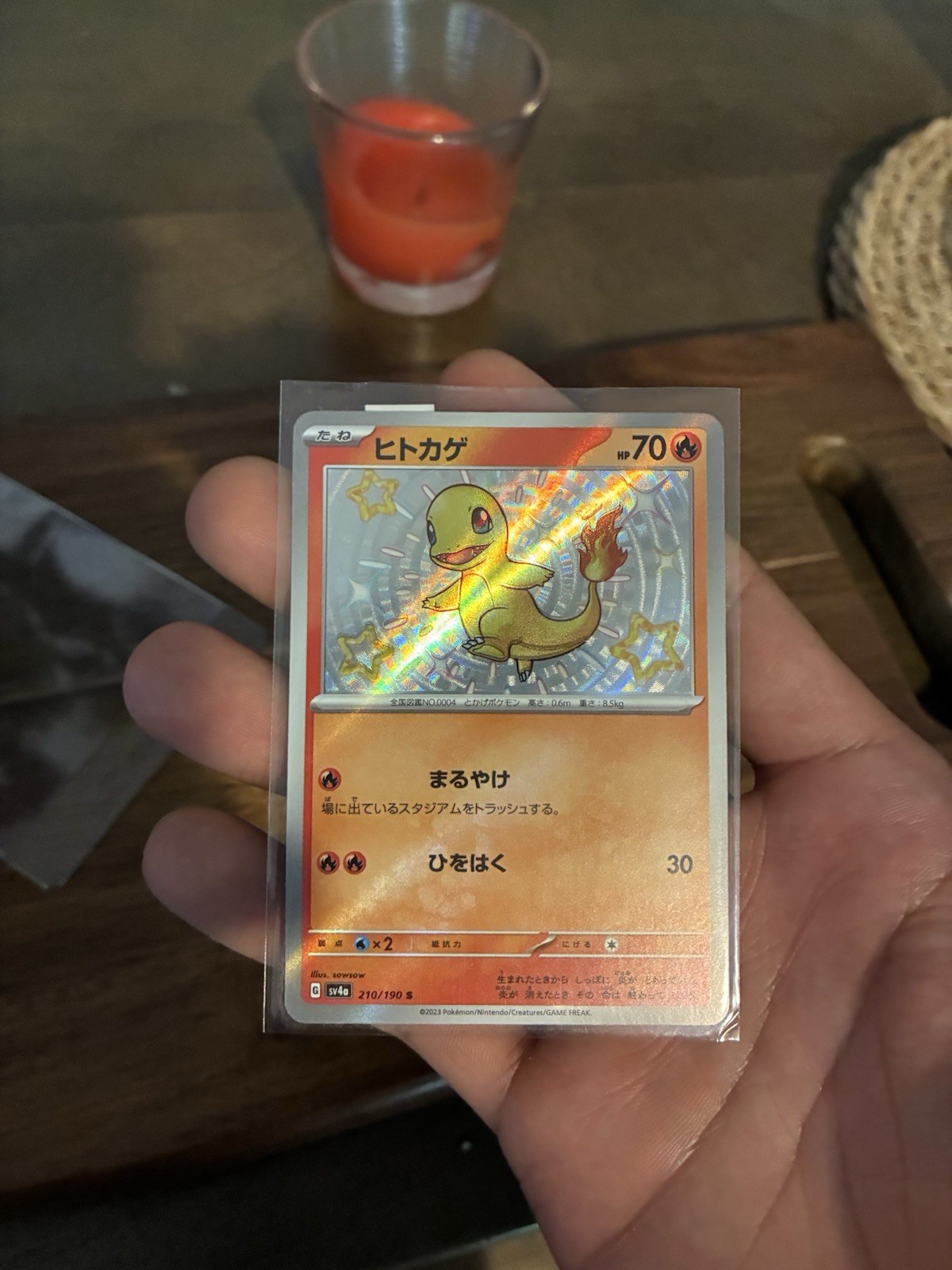 Charmander 210/190 Sv4a: Shiny Treasure Ex Holo (Japanese)